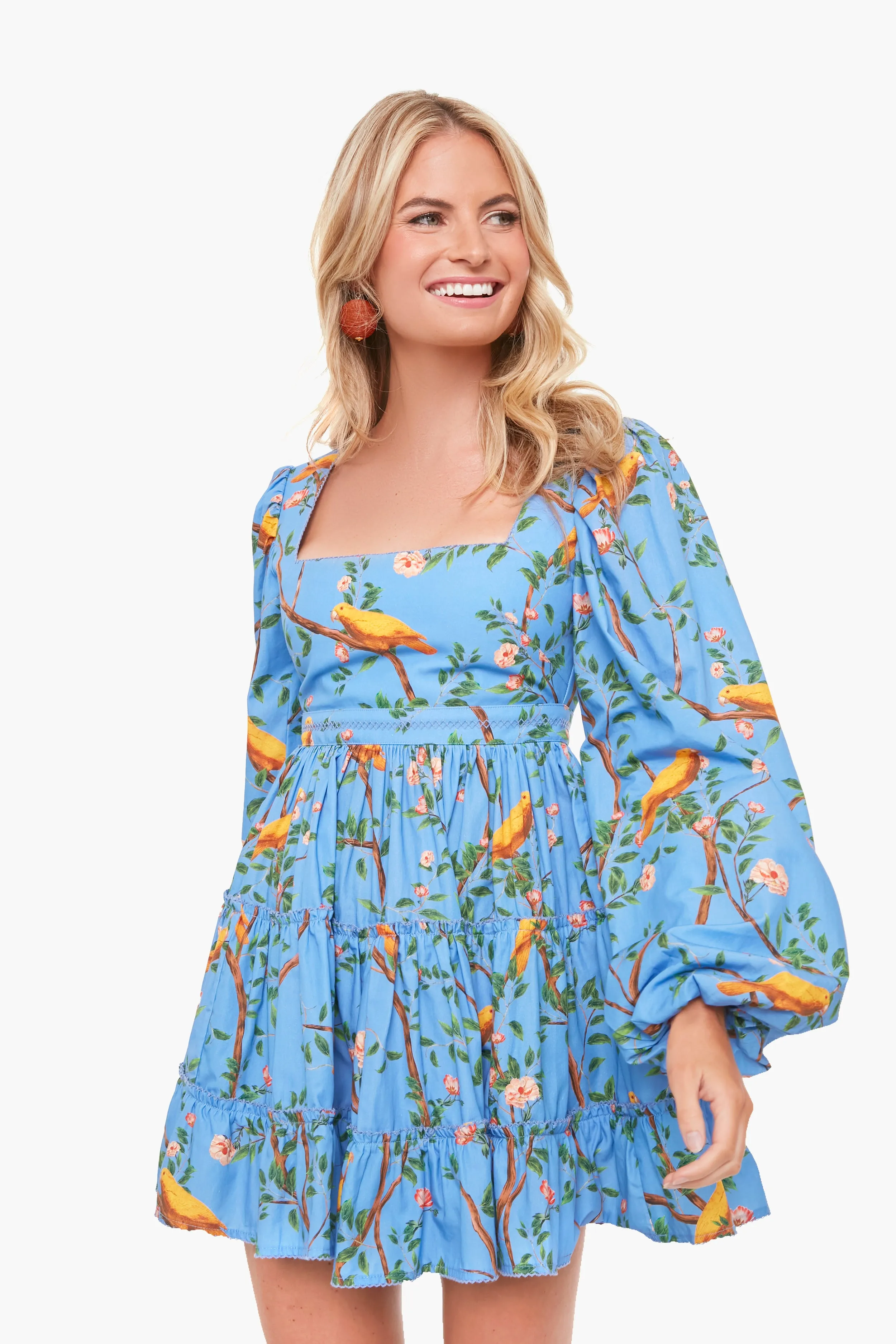 Azul Avena Dress