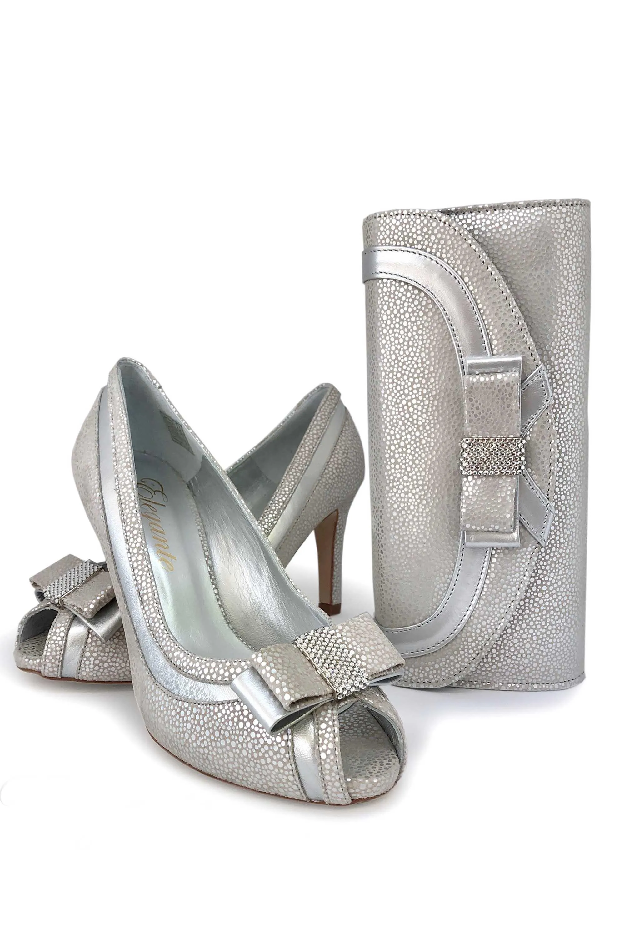 Elegante Luciana Corella Shoe and Bag Set Silver