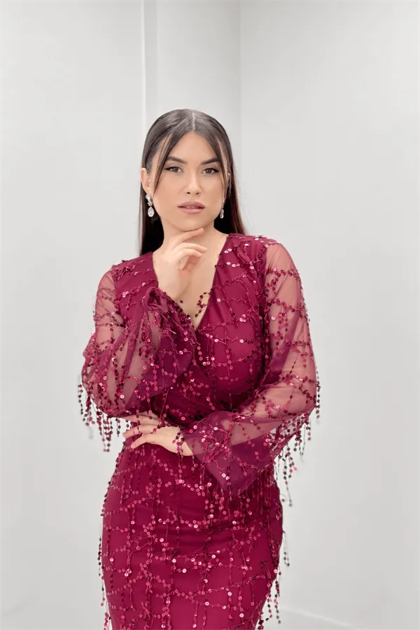 Elegant Burgundy Dress - Premium Design